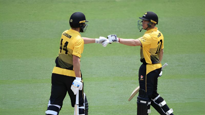 Super Smash 2023-24: How Wellington Players Fared after 11th Match